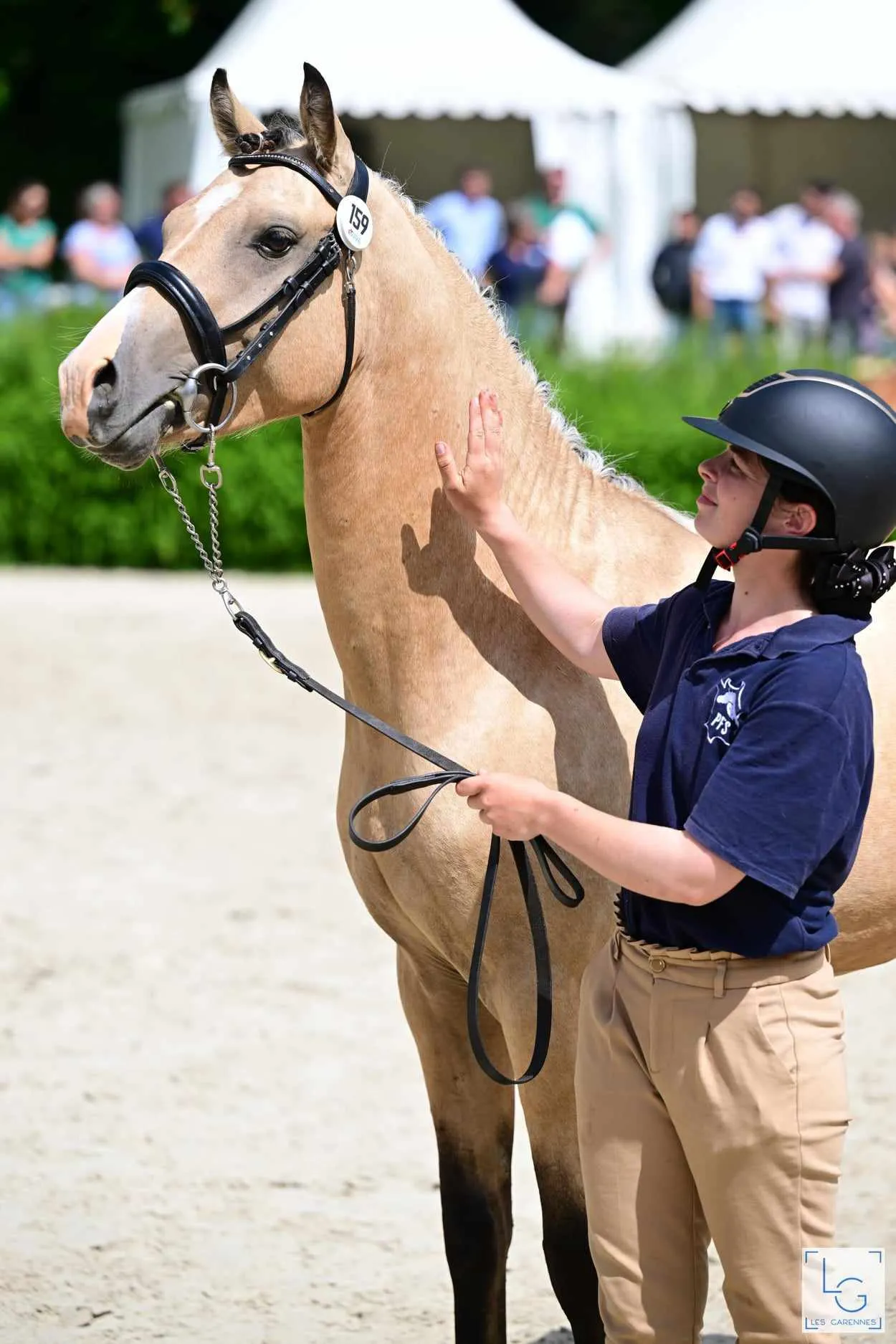 Cavalier sur cheval palomino lors d'un concours équestre