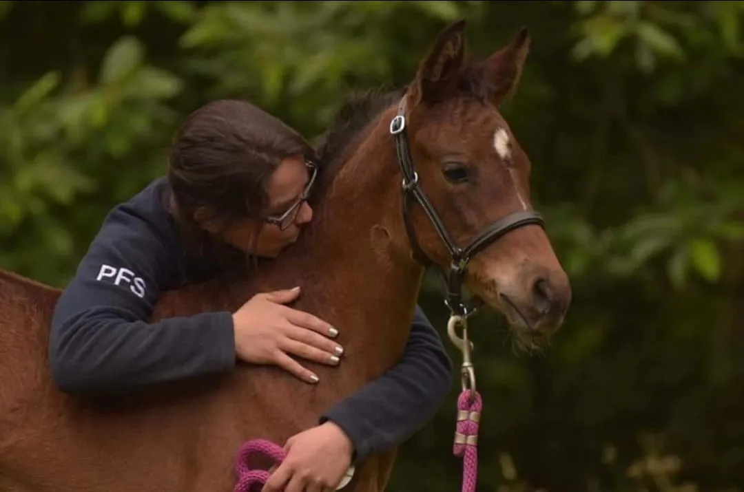 Cavalière en contact doux avec son cheval pour rebâtir la confiance