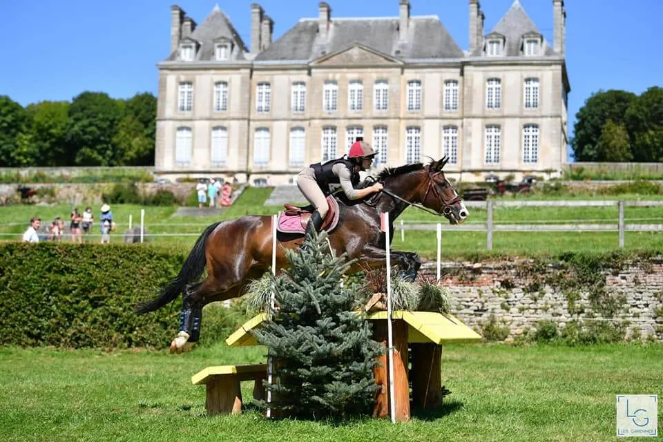 Coaching en compétition de cross-country à l'Écurie des Mignons