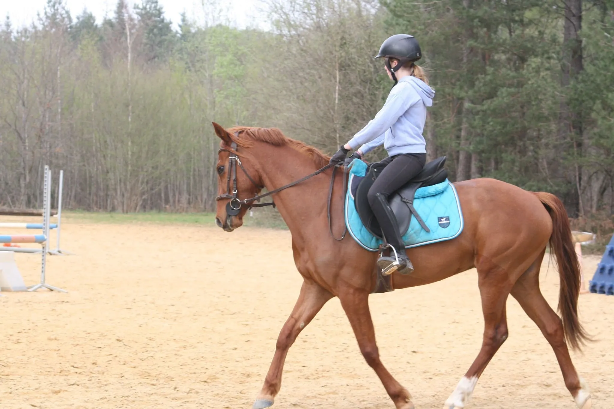 Cours d'équitation en carrière à l'Écurie des Mignons