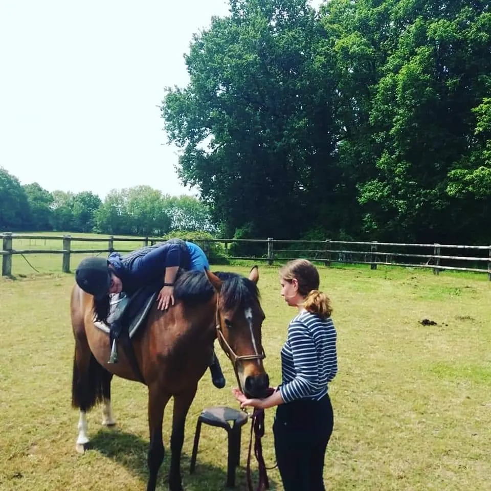 Débourrage progressif d'un jeune cheval à l'Écurie des Mignons