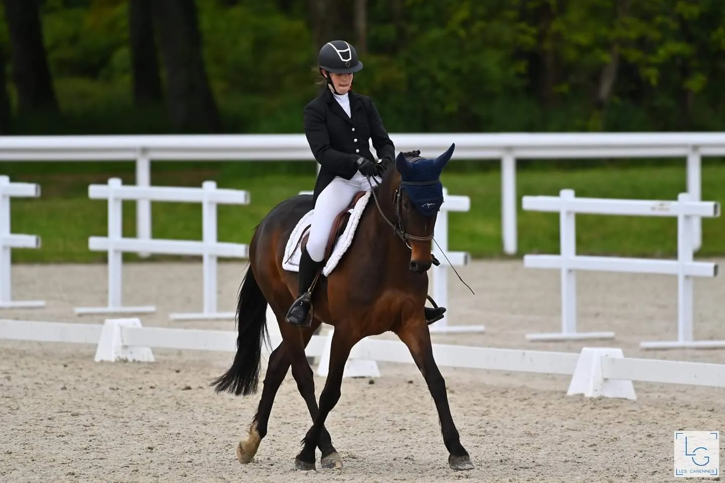 Reprise de dressage en compétition — cheval de sport à l'Écurie des Mignons