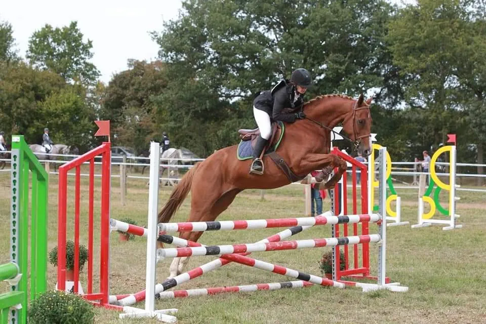 Saut d'obstacles en concours équestre